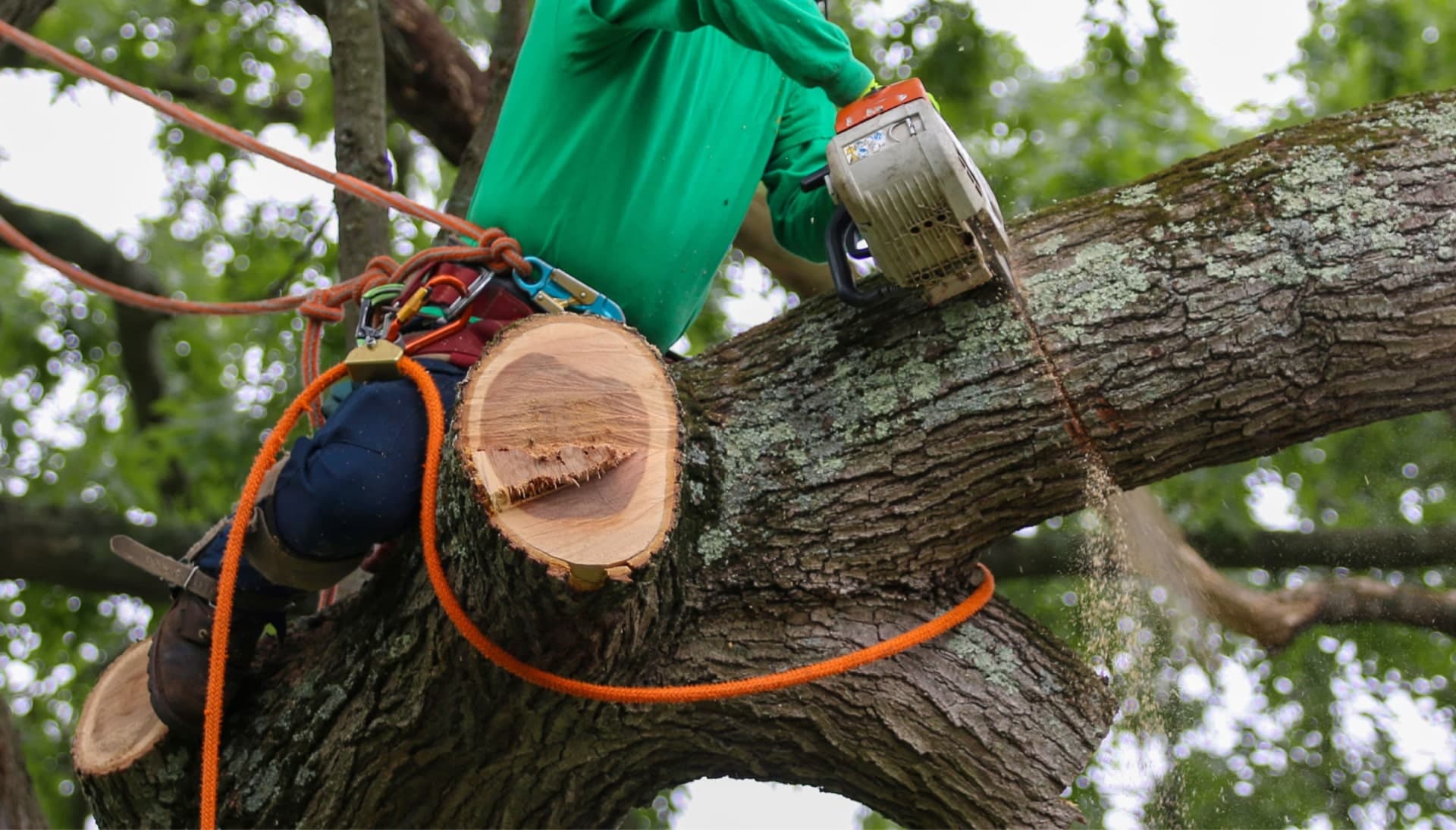 A tree removal professional wearing blue and green in Baton Rouge, Louisiana cuts tree branches
