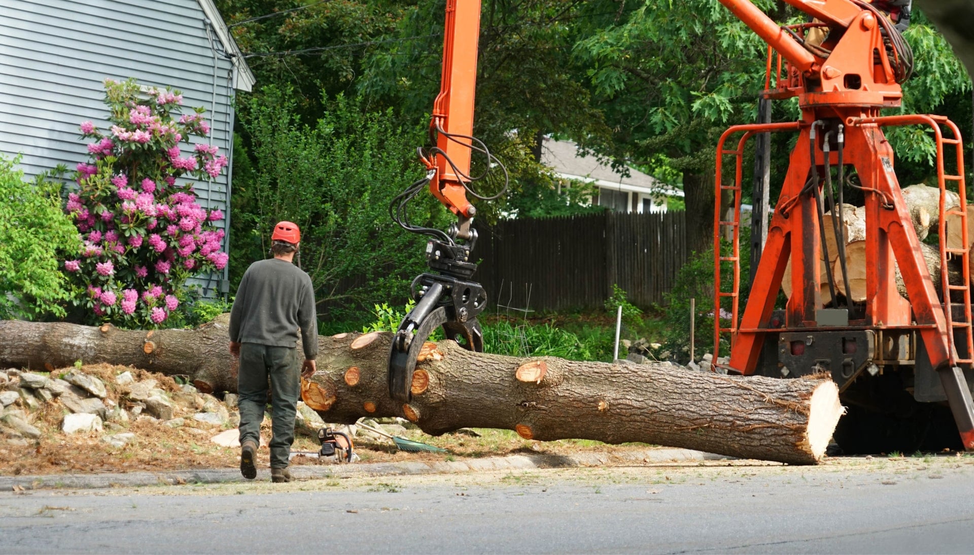 A tree removal service contractor works in Baton Rouge, Louisiana picking up tree