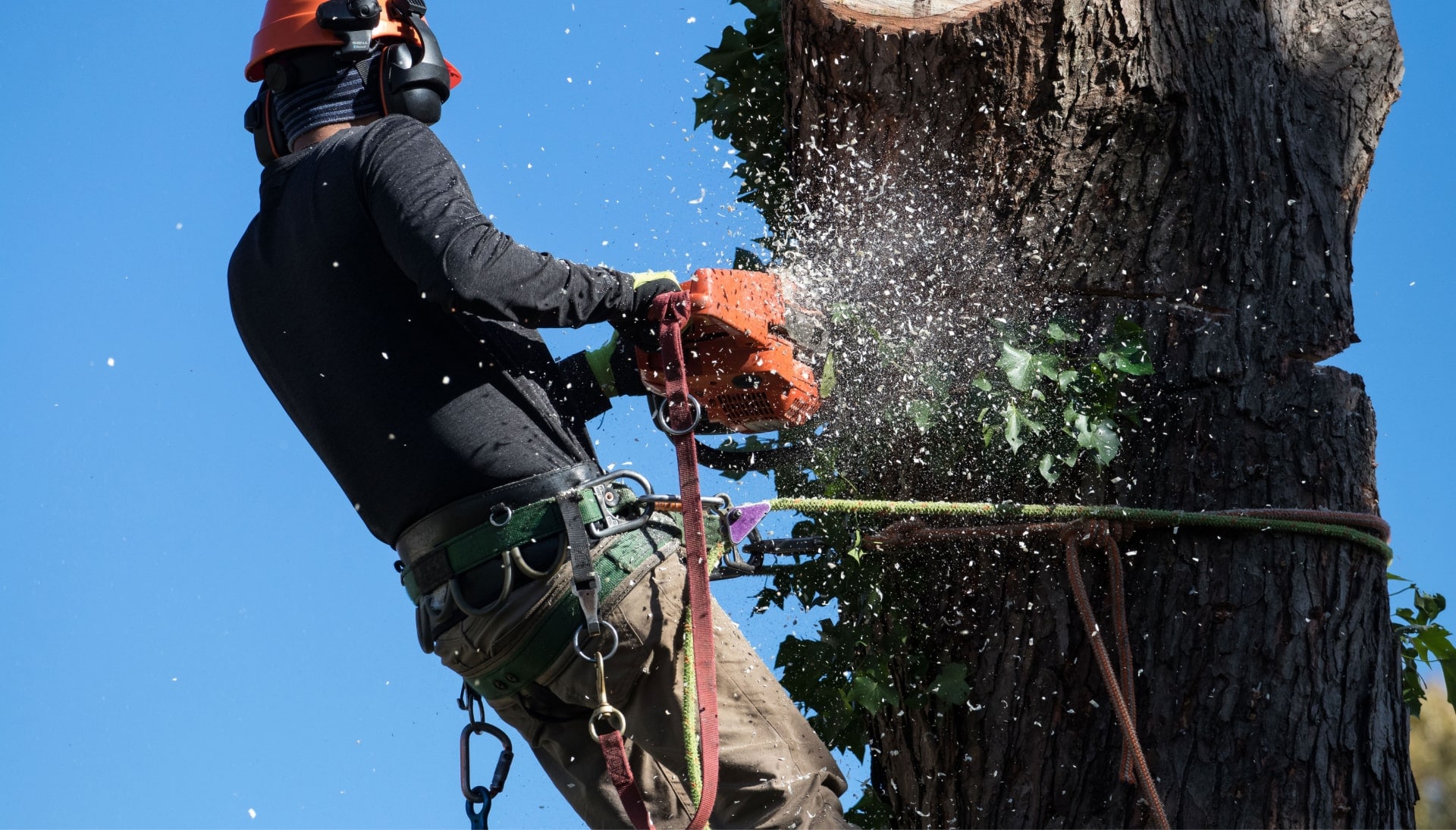 Local Baton Rouge, Louisiana tree removal contractor cutting brand in tree
